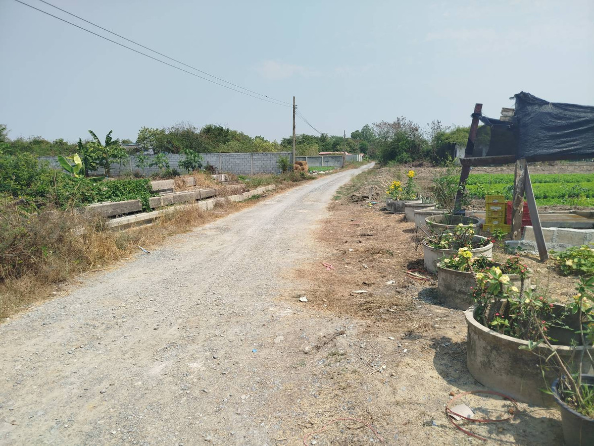 ขายที่ดินนนทบุรี บางใหญ่ บางบัวทอง : ขายที่ดิน ซอยเคหะ-บ้านใหม่ 35 (ซอย สส.สำเร็จ) แยก6  392 ตรว.