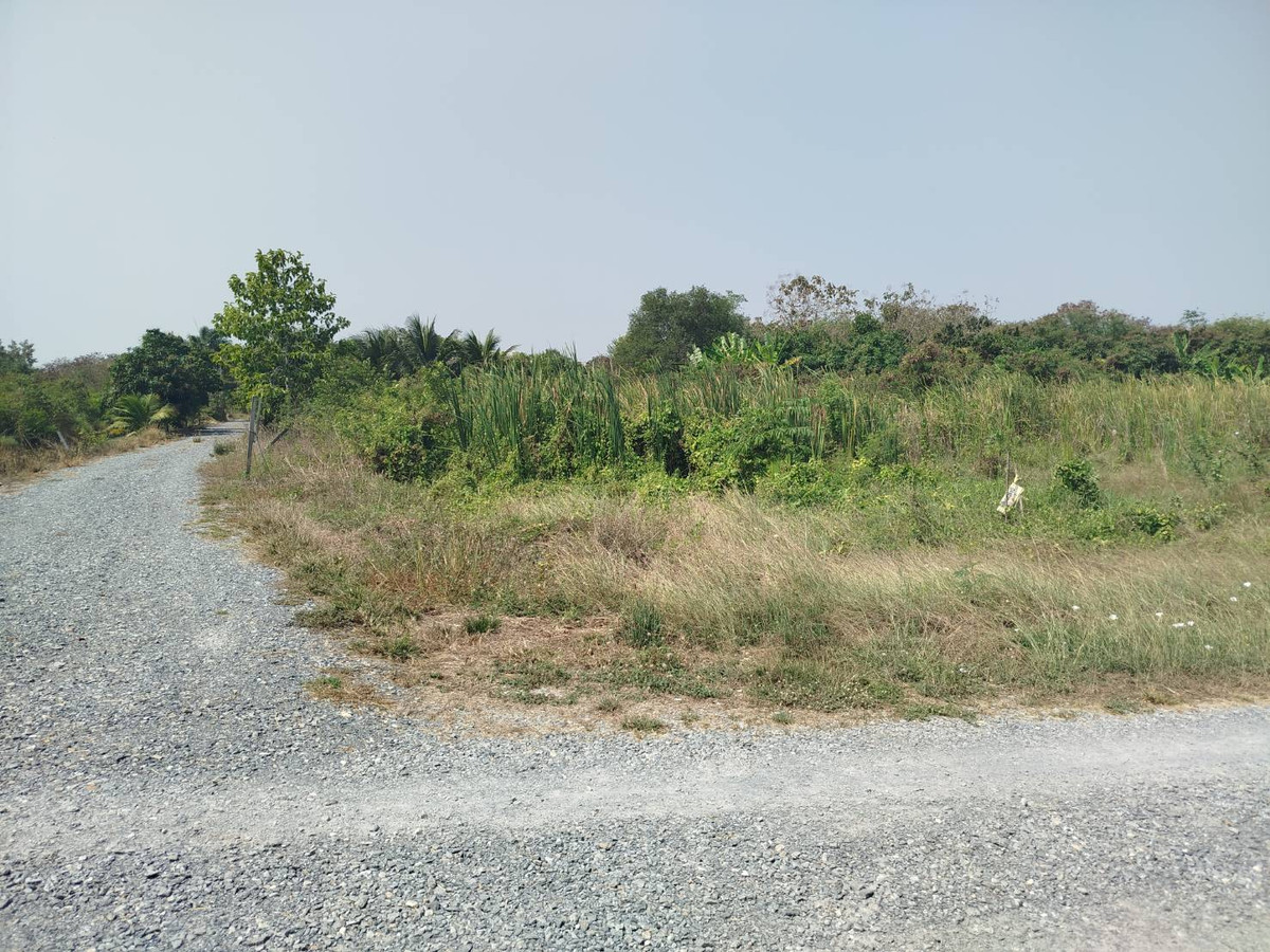 ขายที่ดินนนทบุรี บางใหญ่ บางบัวทอง : แบ่งขายที่ดิน 100 ตรว. หนองเพรางาย ใกล้ซอยคลองถนน บางบัวทอง นนทบุรี