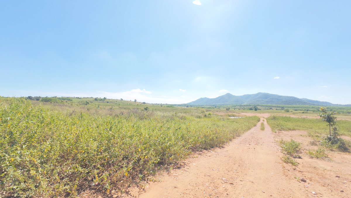 ขายที่ดินกาญจนบุรี : อาณาจักร 446 ไร่! ที่ดินติดเขาผืนเดียวในเมืองกาญจน์ (แก่นเสี้ยน)