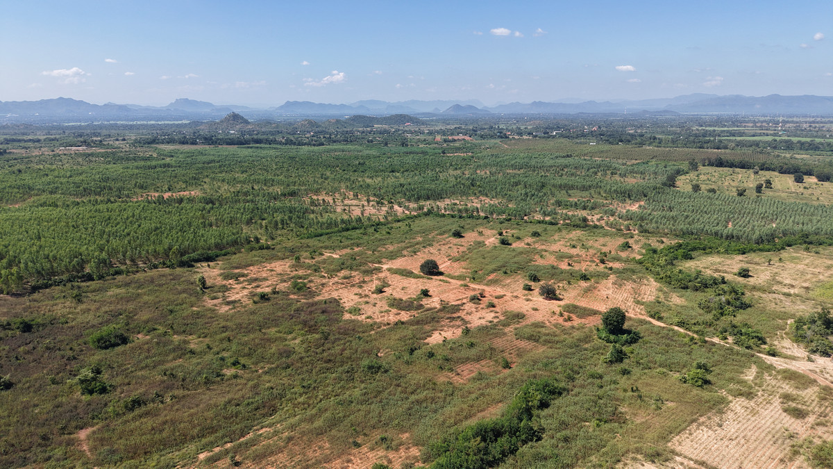 ขายที่ดินกาญจนบุรี : อาณาจักร 446 ไร่! ที่ดินติดเขาผืนเดียวในเมืองกาญจน์ (แก่นเสี้ยน)