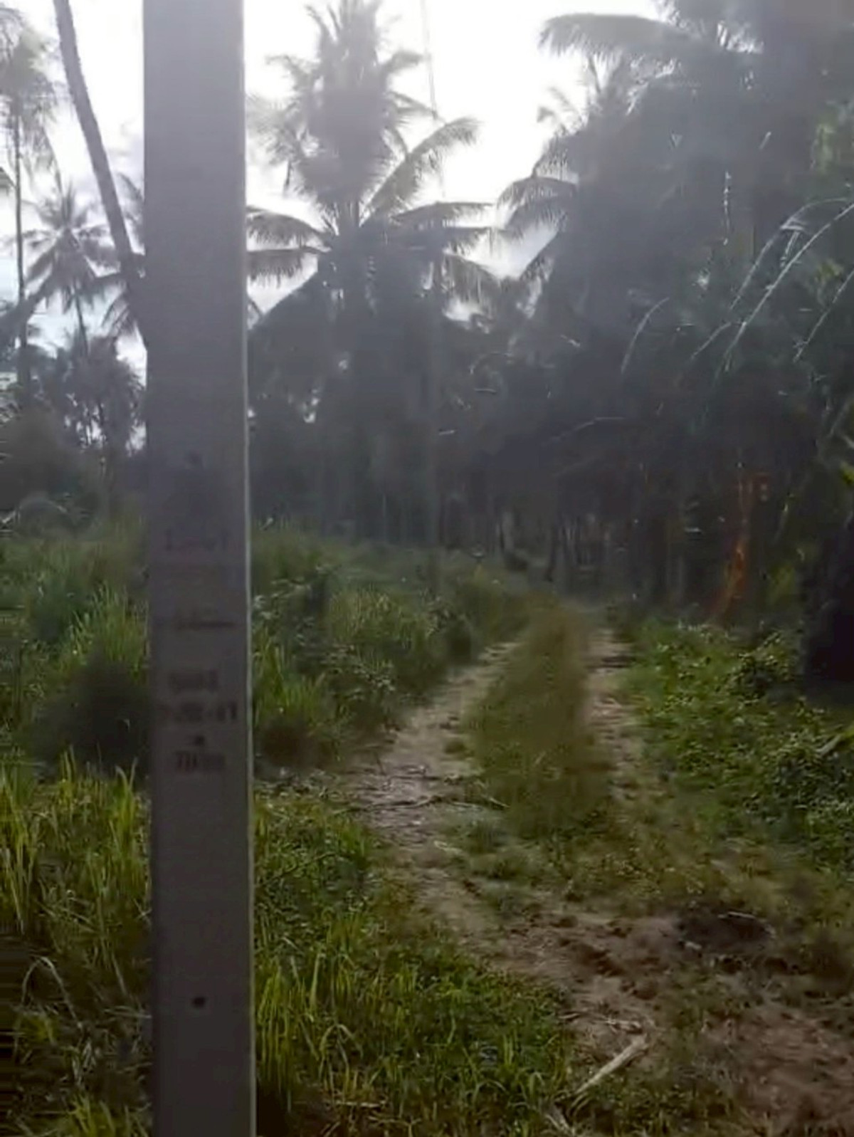 ขายที่ดินหัวหิน ประจวบคีรีขันธ์ : 86455 - ขายที่ดินทำเลดี เดินทางสะดวก ใกล้หาดแสงอรุณ ห่างจากถนนเพชรเกษมเพียง 800 เมตร ทับสะแก ประจวบคีรีขันธ์