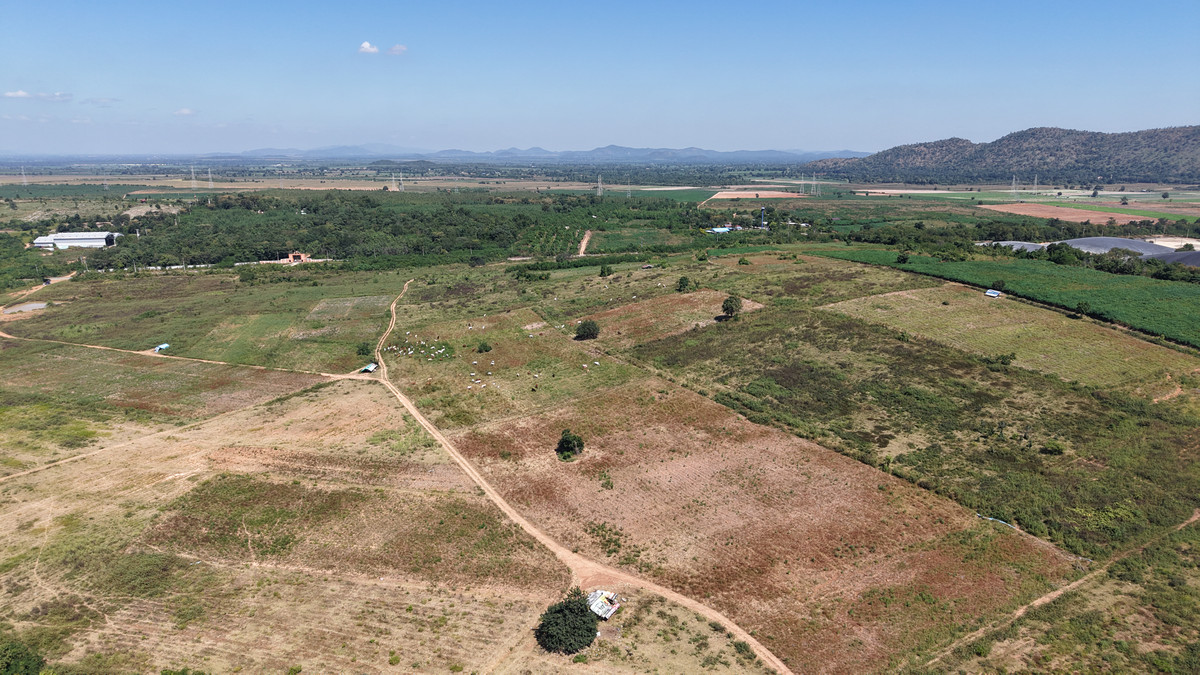 ขายที่ดินกาญจนบุรี : อาณาจักร 446 ไร่! ที่ดินติดเขาผืนเดียวในเมืองกาญจน์ (แก่นเสี้ยน)