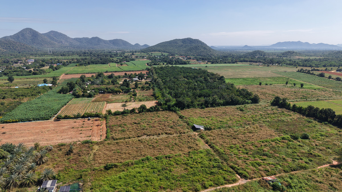 ขายที่ดินกาญจนบุรี : ที่ดินทำเลทอง (37 ไร่) ติดถนนใหญ่ 3158! พร้อมสร้างกำไรทันที!