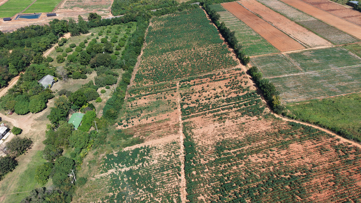 ขายที่ดินกาญจนบุรี : ที่ดินทำเลทอง (37 ไร่) ติดถนนใหญ่ 3158! พร้อมสร้างกำไรทันที!