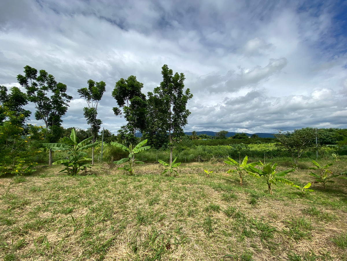For SaleLandPak Chong KhaoYai : Beautiful land in Pak Chong, good location, Khao Yai Thiang view, 2 rai, very good price, only 𝟮,𝟰𝟬𝟬,𝟬𝟬𝟬 baht.