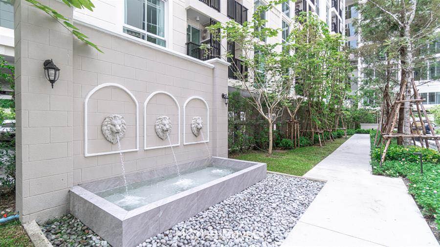 ให้เช่าคอนโดเกษตรศาสตร์ รัชโยธิน : 🔥ให้เช่าด่วน🔥ชาโตว์ อินทาวน์ รัชโยธิน ห้องกว้าง เฟอร์นิเจอร์ครบพร้อมเข้าอยู่ ใกล้ BTS รัชโยธิน และ BTS เสนานิคม