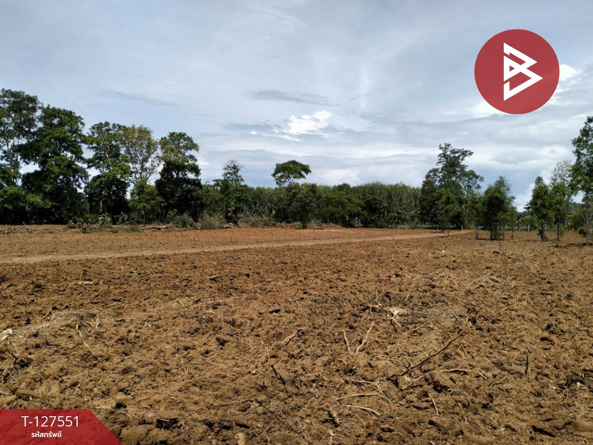 ขายที่ดินตราด : ขายที่ดิน เนื้อที่ 10 ไร่ 96 ตร.วา เขาสมิง ตราด