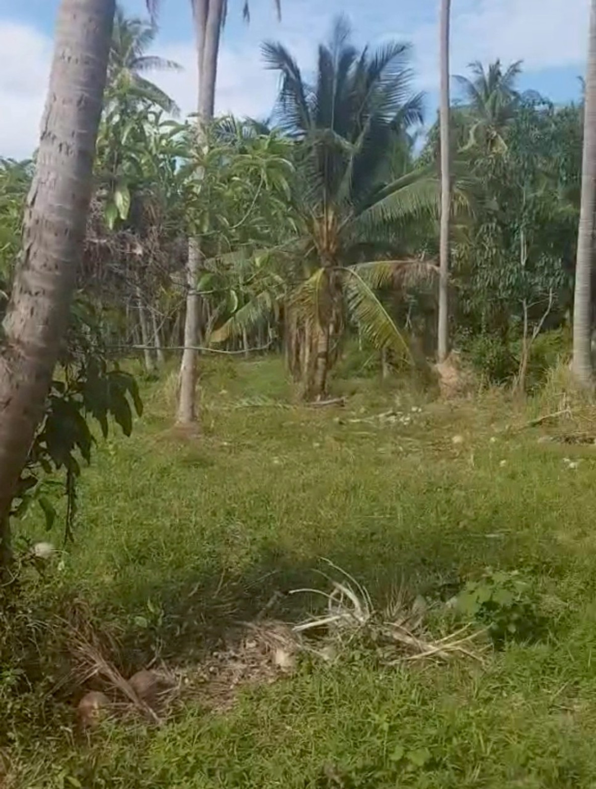 ขายที่ดินหัวหิน ประจวบคีรีขันธ์ : 86455 - ขายที่ดินทำเลดี เดินทางสะดวก ใกล้หาดแสงอรุณ ห่างจากถนนเพชรเกษมเพียง 800 เมตร ทับสะแก ประจวบคีรีขันธ์