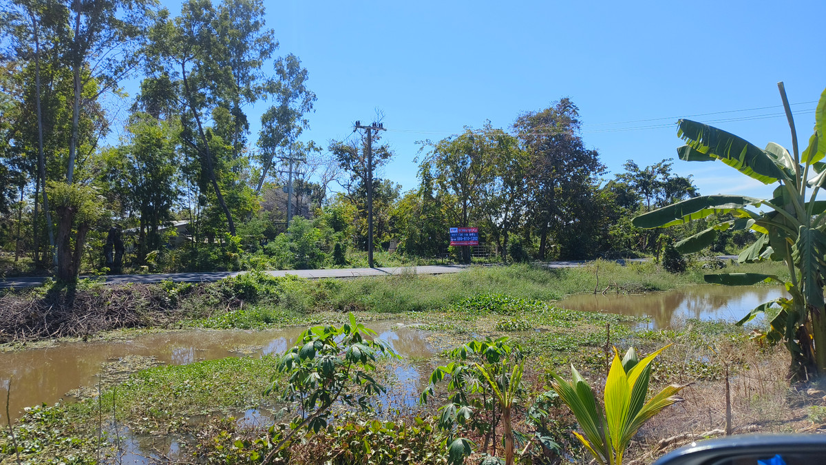 ขายที่ดินสระบุรี : ขายถูกที่ดินแปลงใหญ่ อ.วิหารแดง จ.สระบุรี