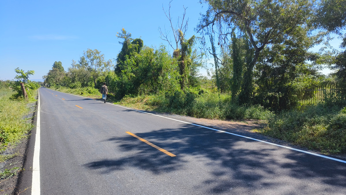 ขายที่ดินสระบุรี : ขายถูกที่ดินแปลงใหญ่ อ.วิหารแดง จ.สระบุรี