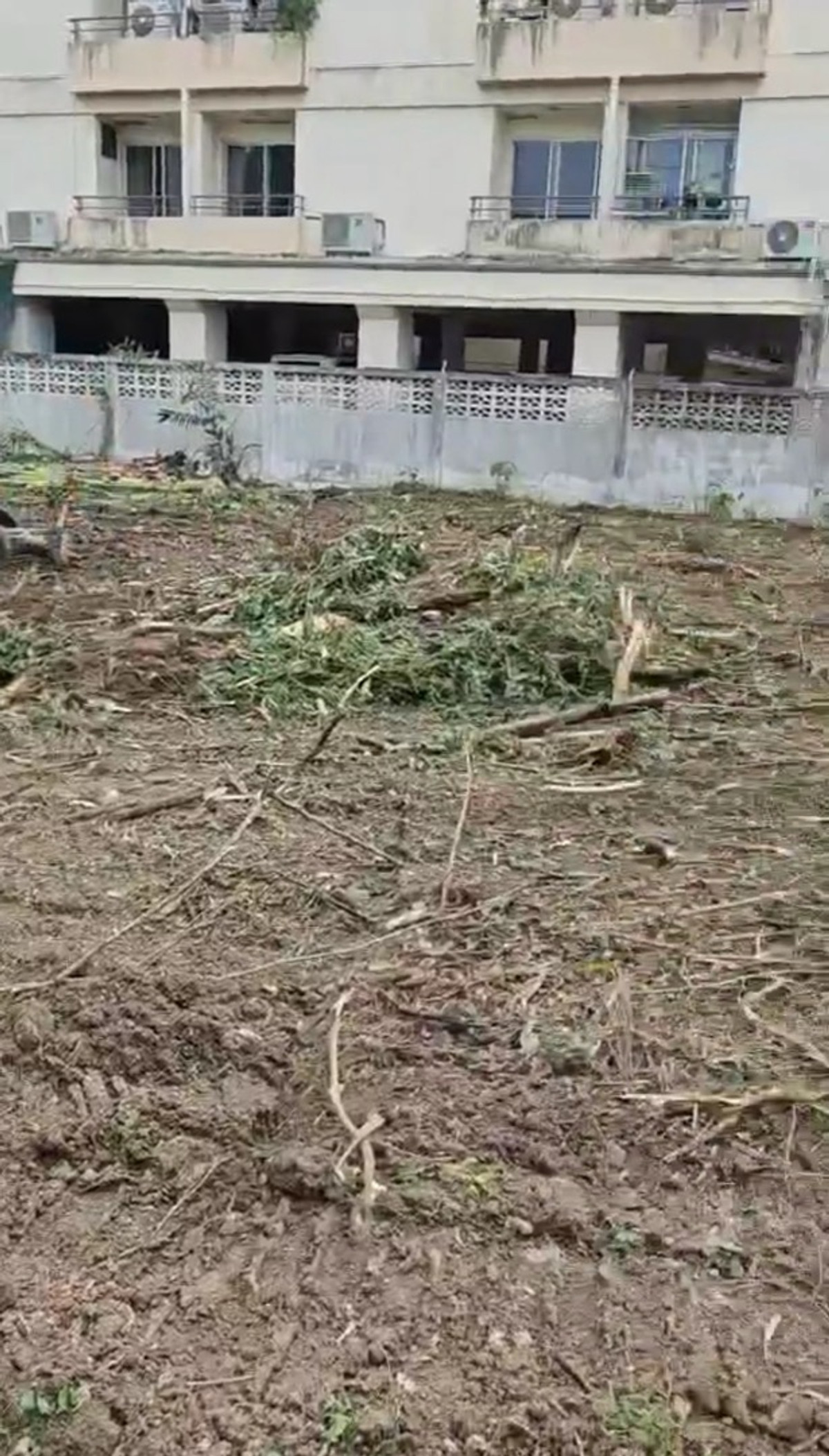 ขายที่ดินสุขุมวิท อโศก ทองหล่อ : ขายที่ดินแปลงสวย สุขุมวิท 39 
เนื้อที่ 352 ตารางวา หน้ากว้าง 15 เมตร
ราคาเพียง 260,000 บาท/ตารางวา