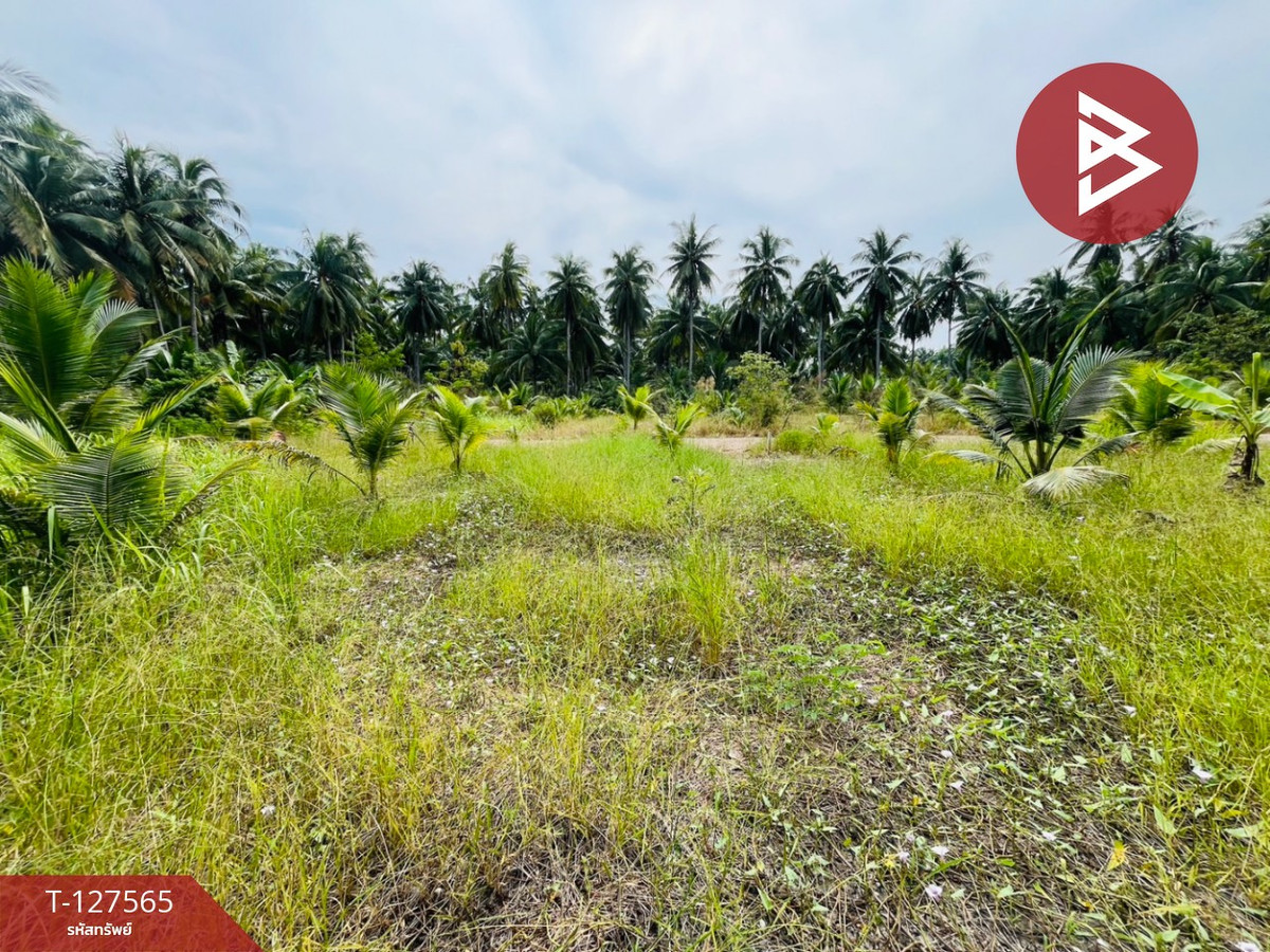 For SaleLandSamut Songkhram : Land for sale, area 1 ngan, Amphawa, Samut Songkhram.