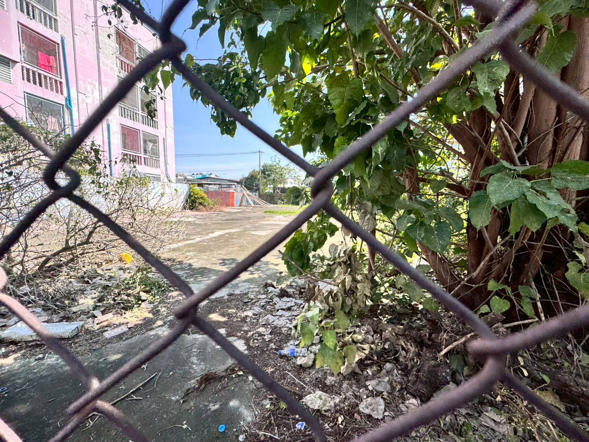 For SaleLandBangna, Bearing, Lasalle : Land for sale, already filled, Soi Lasalle 26, good location, 250 meters from the entrance of the alley (N.1930)