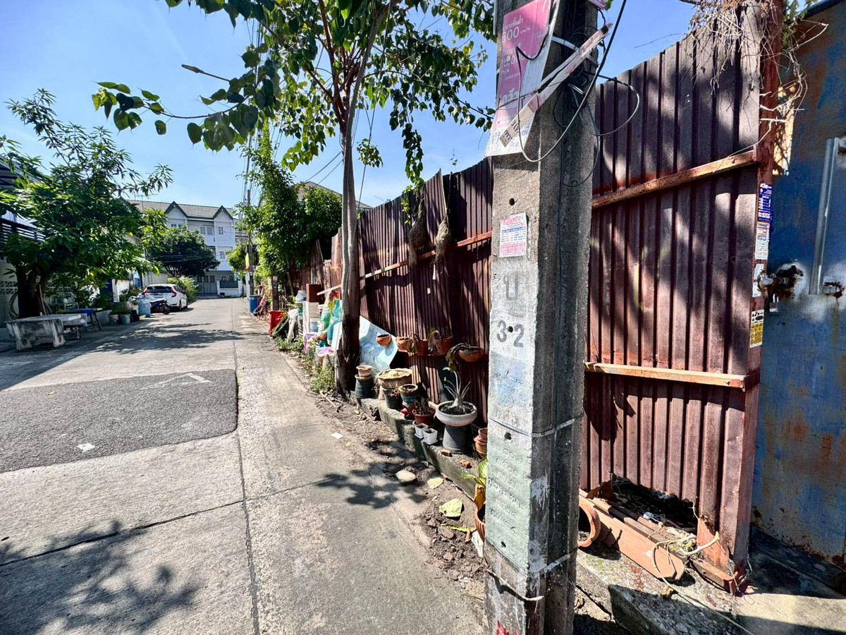 For SaleLandBangna, Bearing, Lasalle : Land for sale, already filled, Soi Lasalle 26, good location, 250 meters from the entrance of the alley (N.1930)