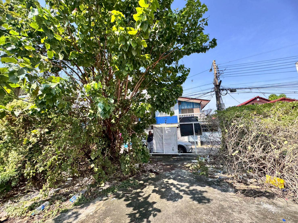 For SaleLandBangna, Bearing, Lasalle : Land for sale, already filled, Soi Lasalle 26, good location, 250 meters from the entrance of the alley (N.1930)