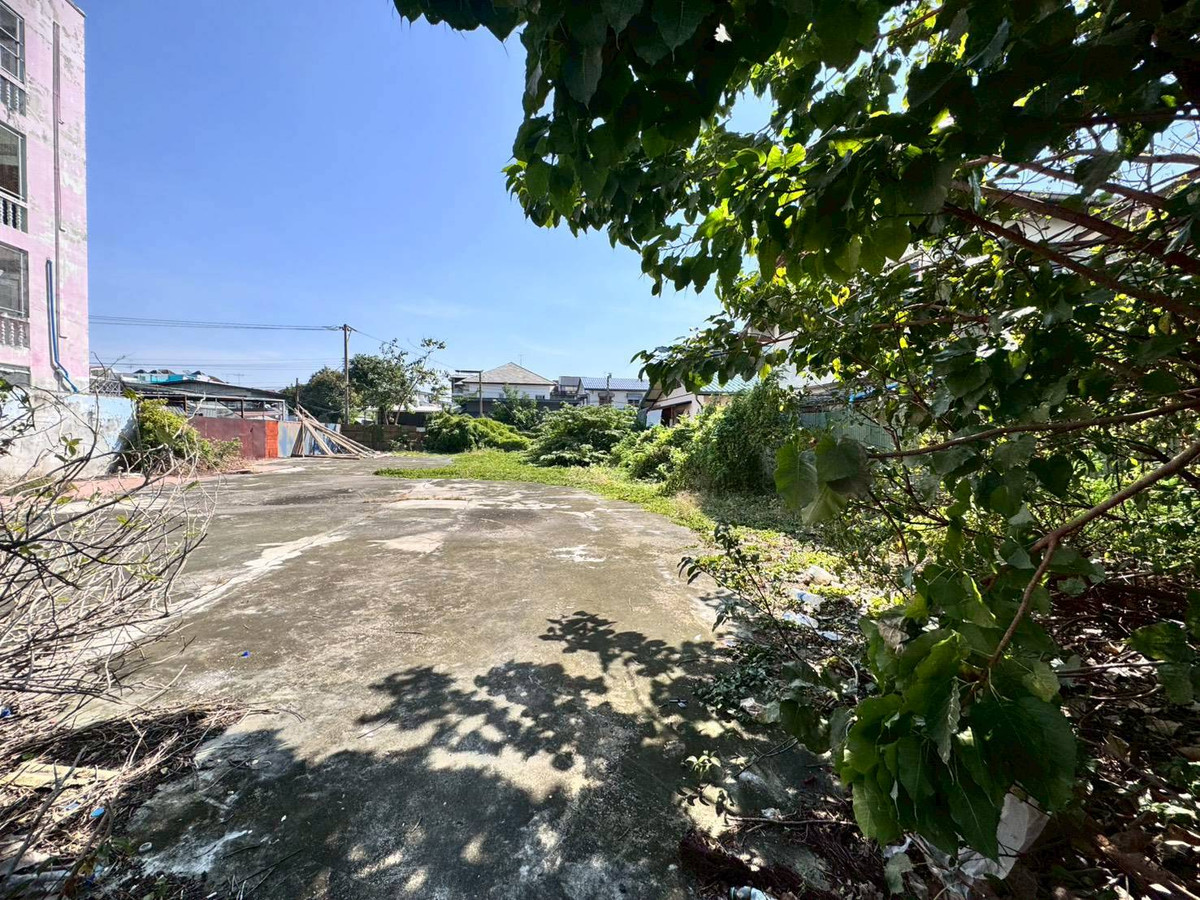 For SaleLandBangna, Bearing, Lasalle : Land for sale, already filled, Soi Lasalle 26, good location, 250 meters from the entrance of the alley (N.1930)