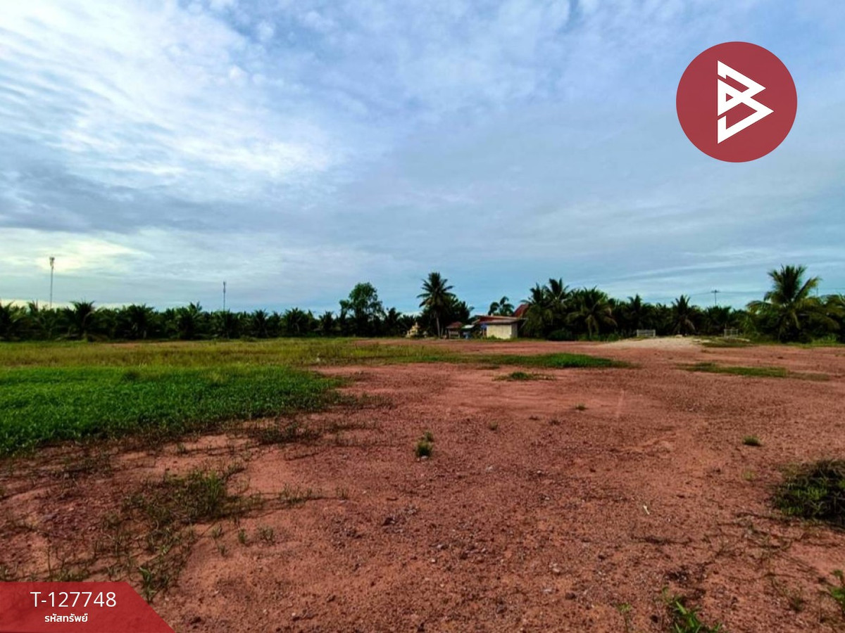 For SaleLandSamut Songkhram : Land for sale urgently, area 4 rai 3 ngan 49 sq m, Lat Yai, Samut Songkhram.