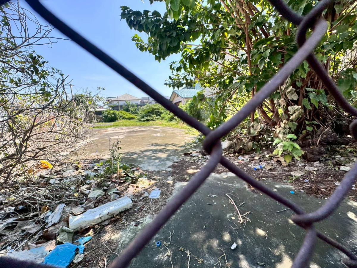 For SaleLandBangna, Bearing, Lasalle : Land for sale, already filled, Soi Lasalle 26, good location, 250 meters from the entrance of the alley (N.1930)