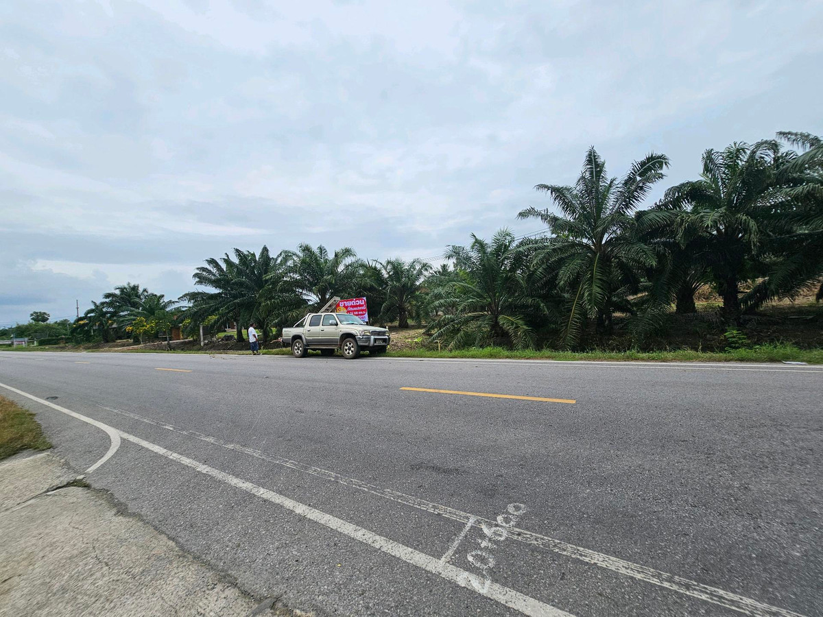 For SaleLandKoh Samui, Surat Thani : Land for sale on Surat Thani Road in the tourist area of ​​Kanchanadit District.