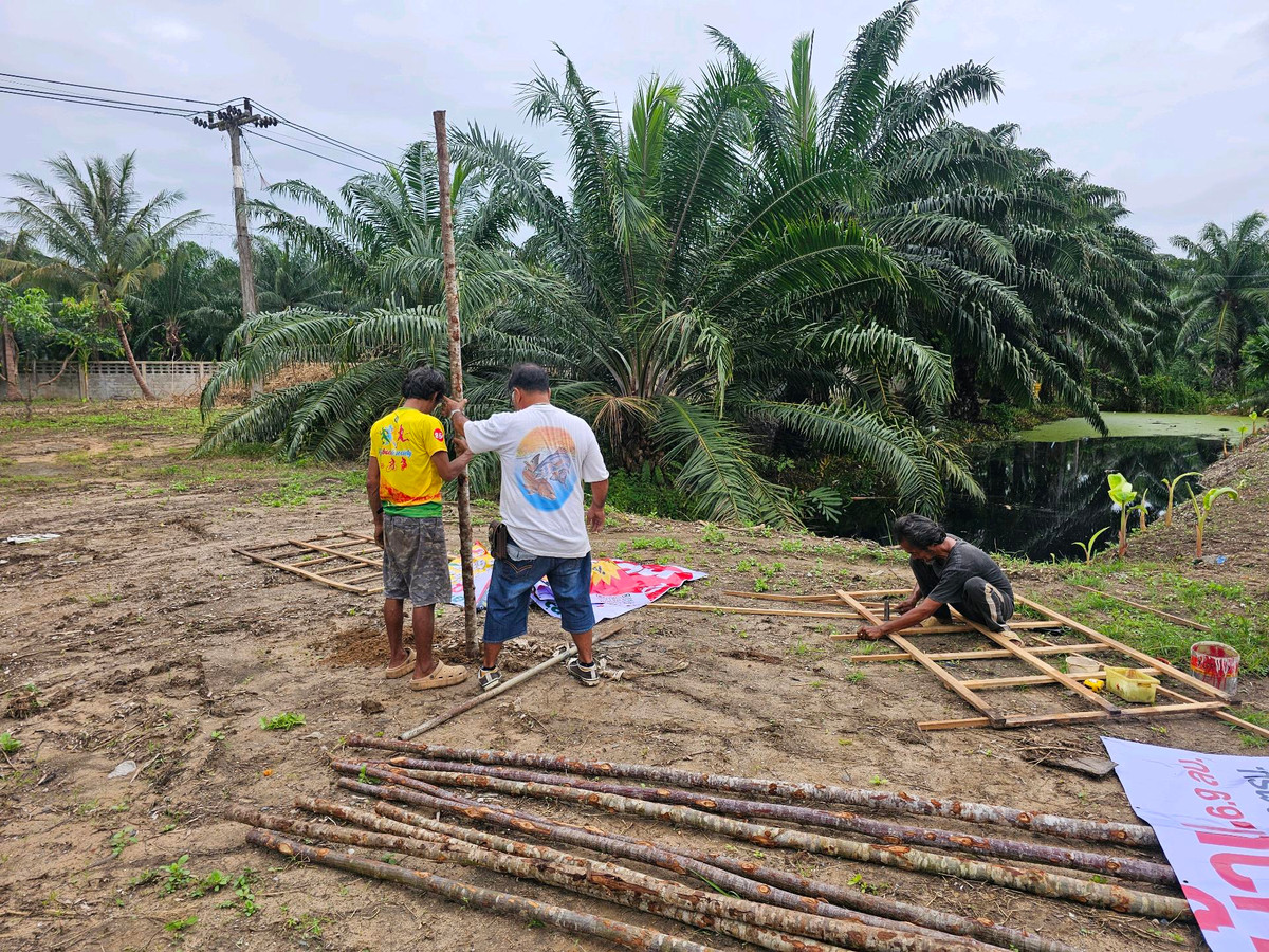 For SaleLandKoh Samui, Surat Thani : Land for sale on Surat Thani Road in the tourist area of ​​Kanchanadit District.
