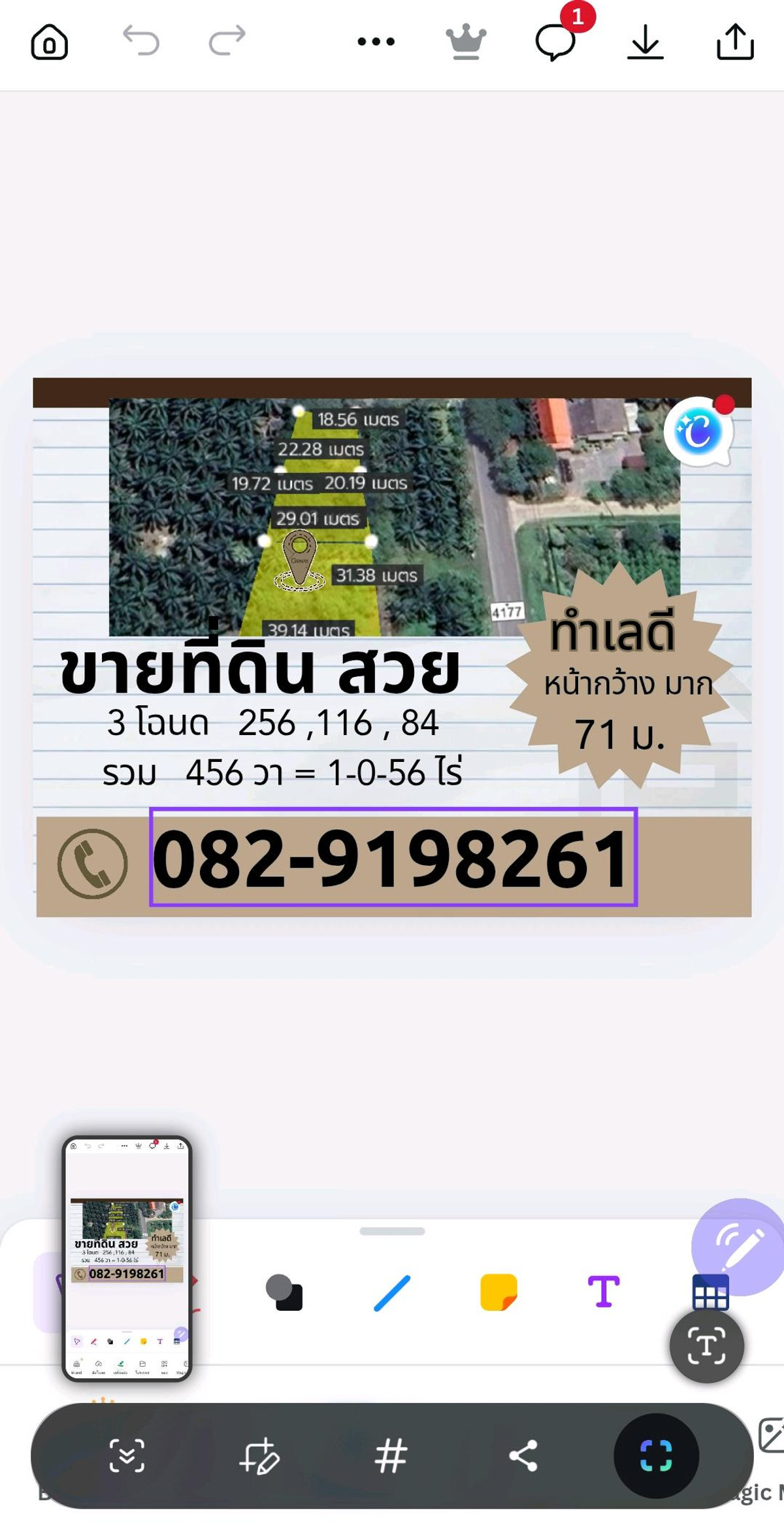 ขายร้านค้า/ตลาดนัดสมุย สุราษฎร์ธานี : ขายที่ดินถมแล้วริมถนนสุราษฎร์ธานีในแหล่งท่องเที่ยวอำเภอกาญจนดิษฐ์