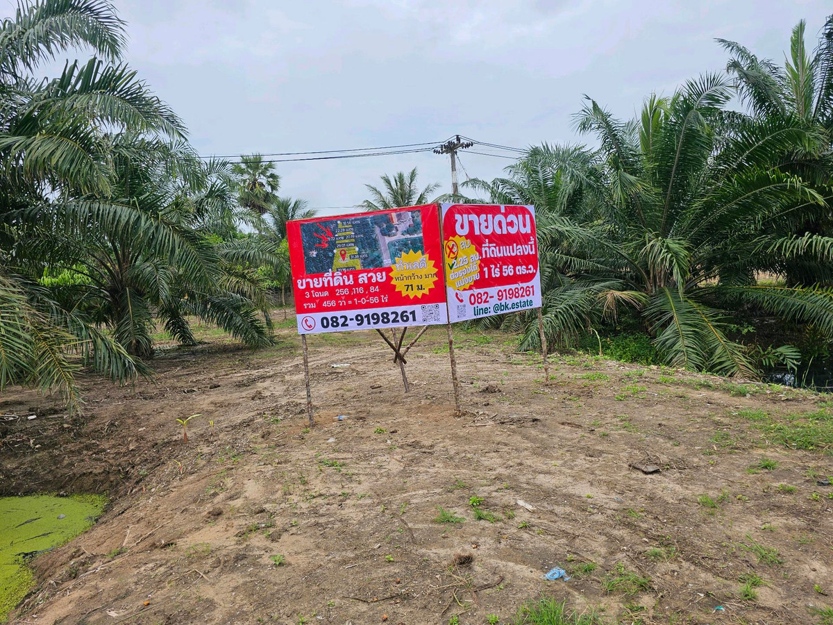 For SaleLandKoh Samui, Surat Thani : Land for sale on Surat Thani Road in the tourist area of ​​Kanchanadit District.