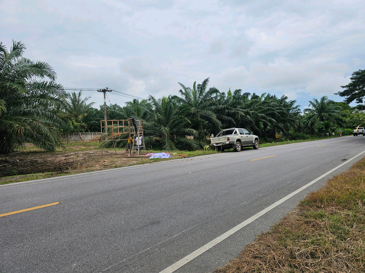 For SaleLandKoh Samui, Surat Thani : Land for sale on Surat Thani Road in the tourist area of ​​Kanchanadit District.