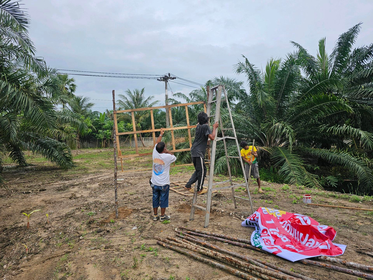 For SaleLandKoh Samui, Surat Thani : Land for sale on Surat Thani Road in the tourist area of ​​Kanchanadit District.