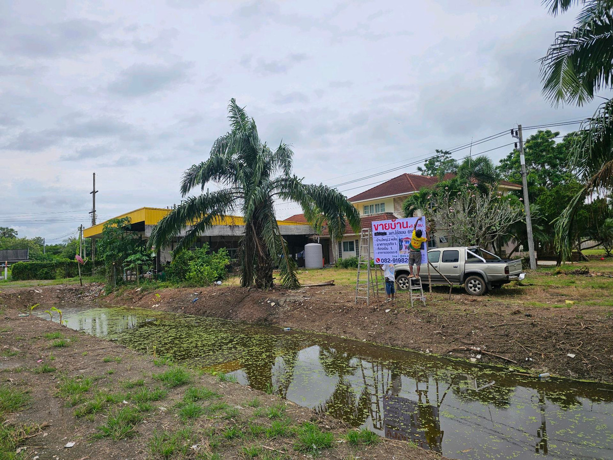 For SaleLandKoh Samui, Surat Thani : Land for sale on Surat Thani Road in the tourist area of ​​Kanchanadit District.