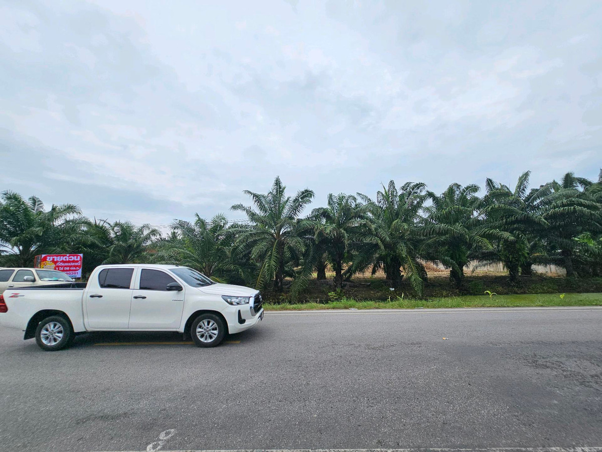 For SaleLandKoh Samui, Surat Thani : Land for sale on Surat Thani Road in the tourist area of ​​Kanchanadit District.
