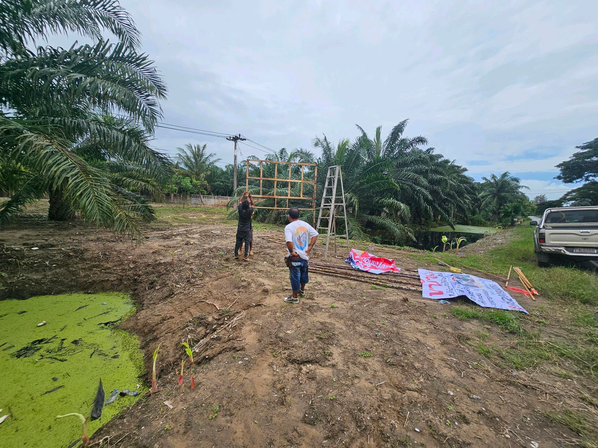 For SaleLandKoh Samui, Surat Thani : Land for sale on Surat Thani Road in the tourist area of ​​Kanchanadit District.