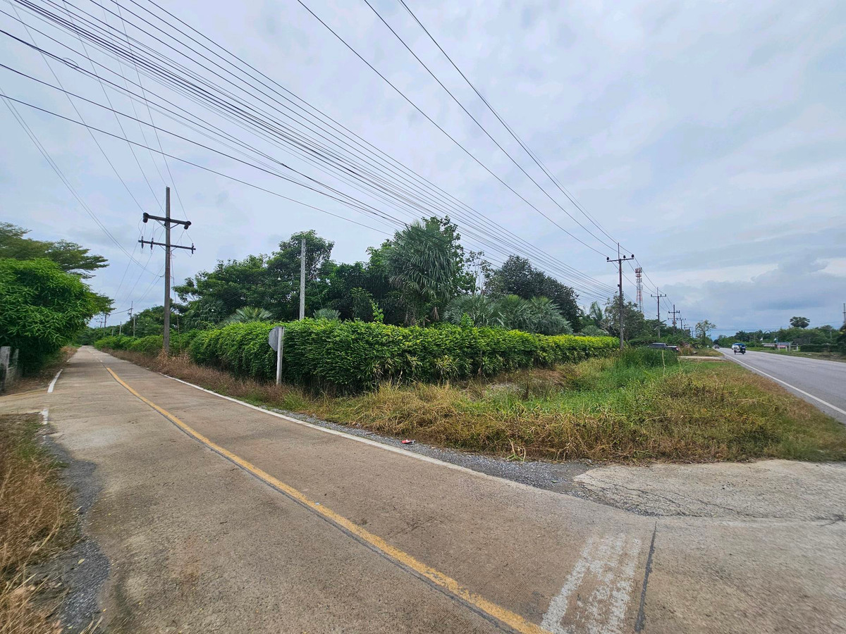 For SaleLandKoh Samui, Surat Thani : Land for sale on Surat Thani Road in the tourist area of ​​Kanchanadit District.