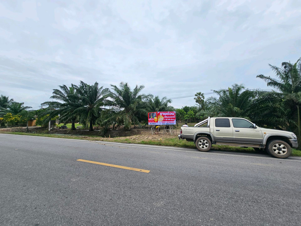 For SaleLandKoh Samui, Surat Thani : Land for sale on Surat Thani Road in the tourist area of ​​Kanchanadit District.