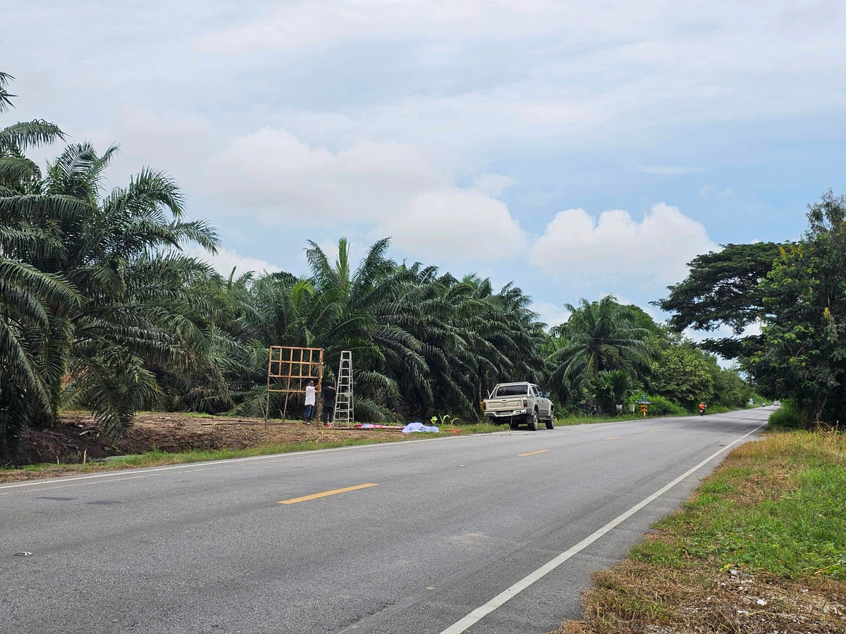 For SaleLandKoh Samui, Surat Thani : Land for sale on Surat Thani Road in the tourist area of ​​Kanchanadit District.