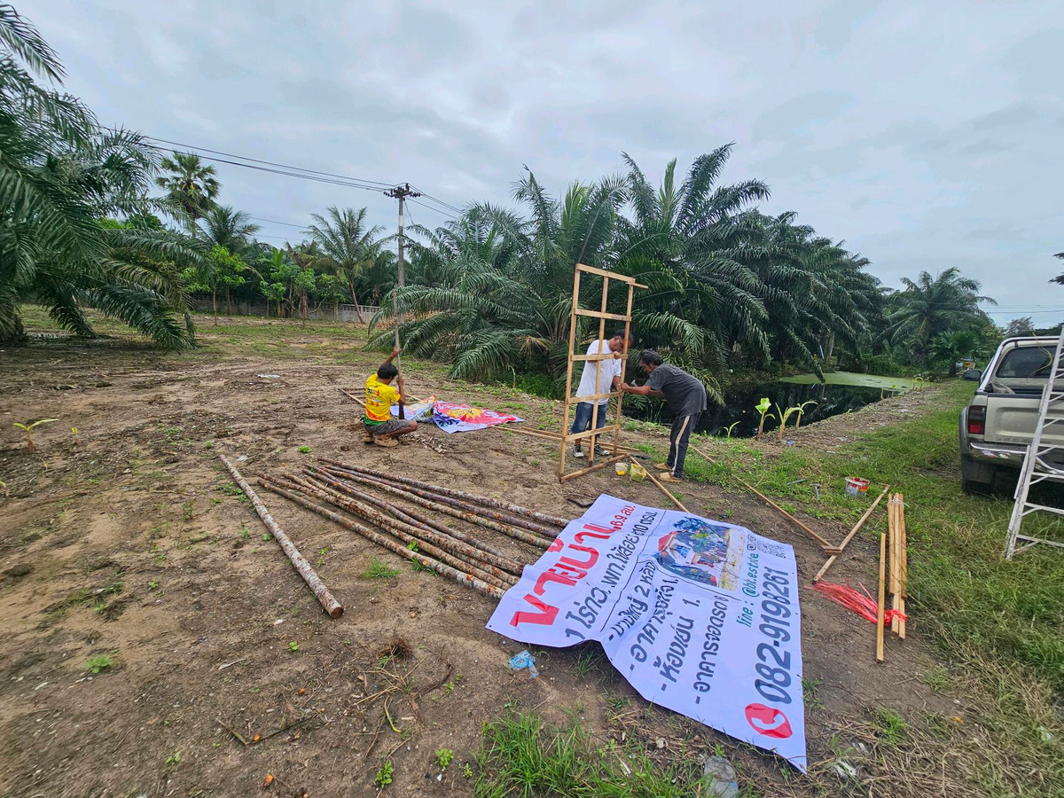 For SaleLandKoh Samui, Surat Thani : Land for sale on Surat Thani Road in the tourist area of ​​Kanchanadit District.