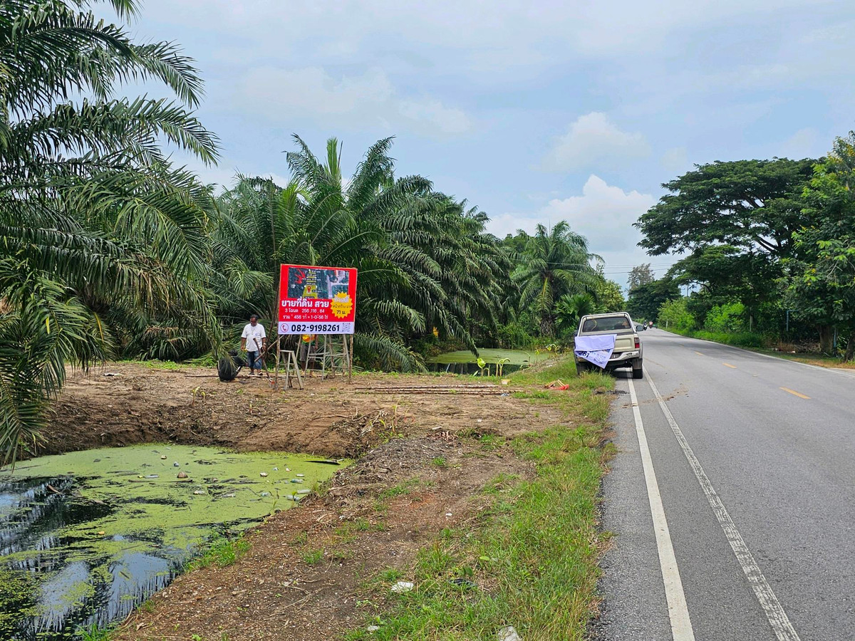 For SaleLandKoh Samui, Surat Thani : Land for sale on Surat Thani Road in the tourist area of ​​Kanchanadit District.
