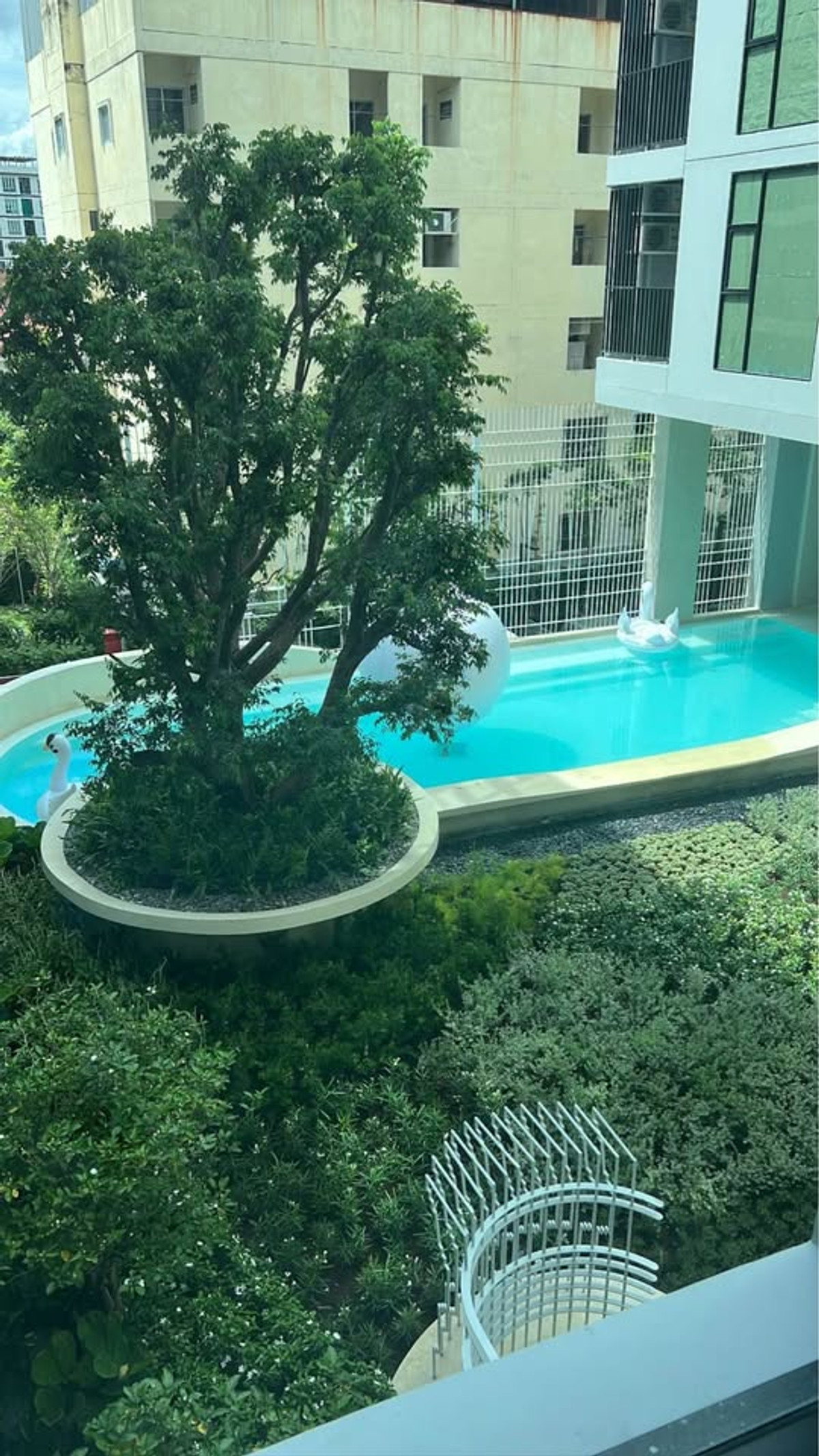 For RentCondoRatchadapisek, Huaikwang, Suttisan : For rent IVORY Ratchada - Ladprao