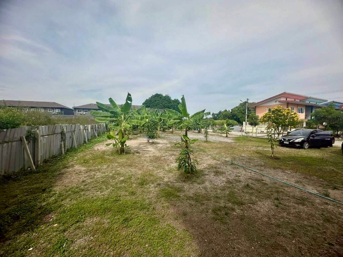 For SaleLandPathum Thani,Rangsit, Thammasat : Empty land for sale, beautiful plot, already filled, near the Red Skytrain station, Rangsit Station, Bang Phun Subdistrict, Mueang Pathum Thani District, Pathum Thani Province.