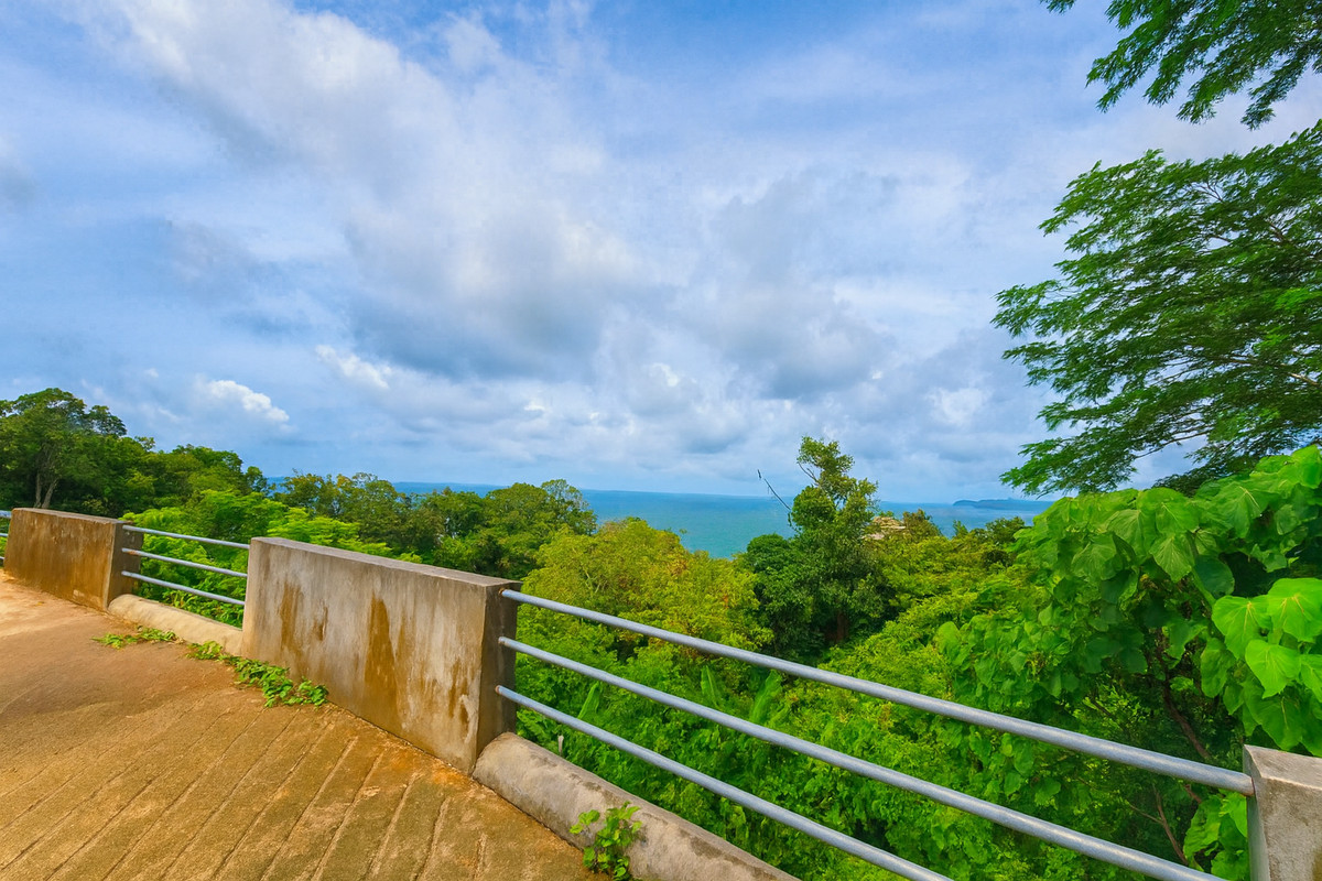 ขายที่ดินภูเก็ต : ที่ดินวิวทะเล 2 ไร่ ทำเลศักยภาพสูง ในกมลา เหมาะสำหรับนักลงทุน - U5864469