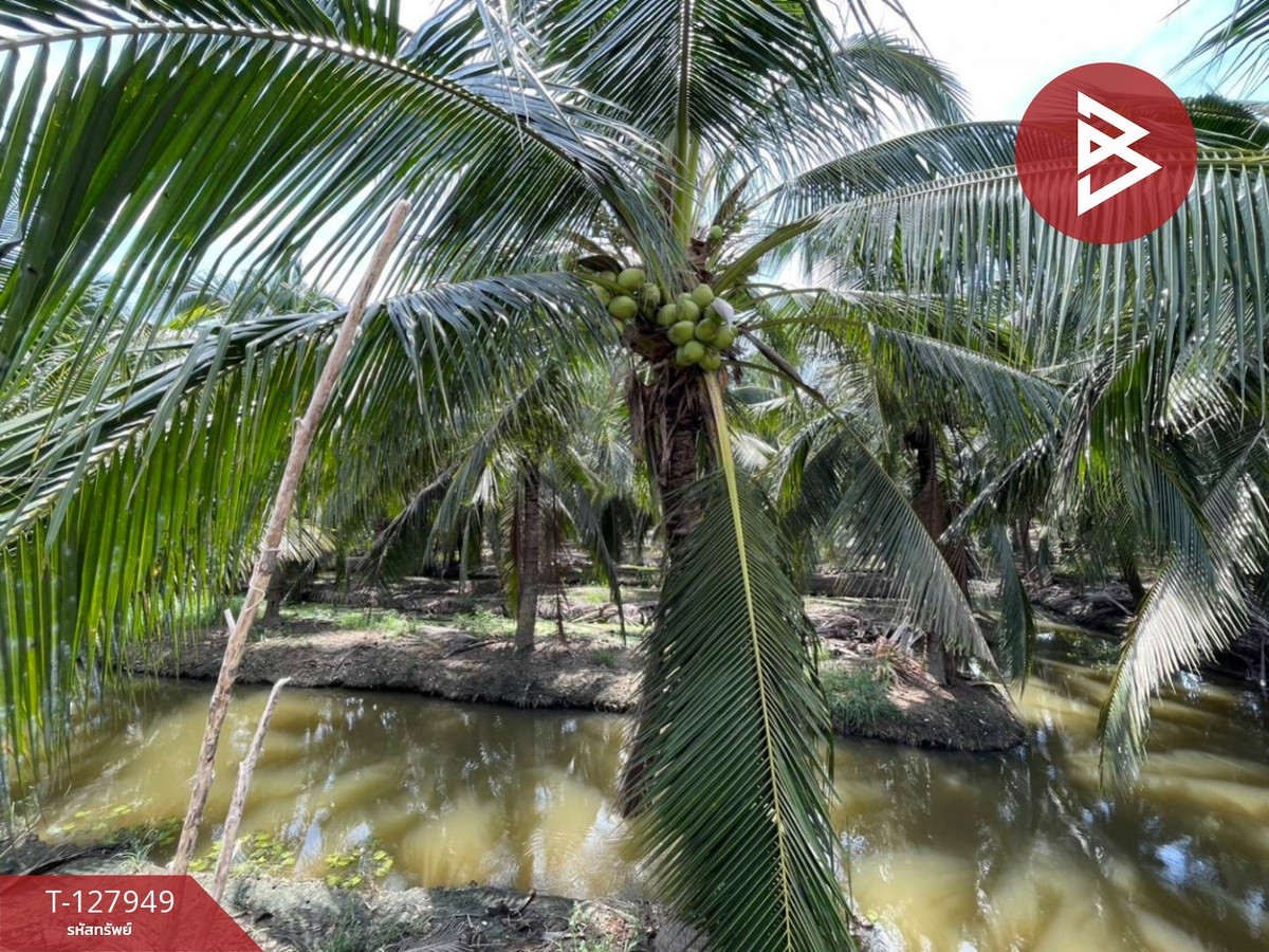 ขายที่ดินนครปฐม : ขายที่ดินสวนมะพร้าวพร้อมบ้าน เนื้อที่33 ไร่ 1 งาน 20 ตร.วา อ.นครชัยศรี นครปฐม