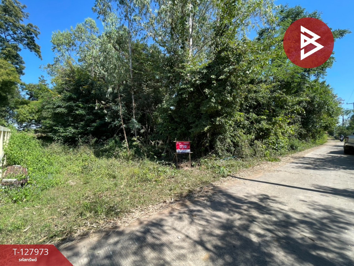 ขายที่ดินขอนแก่น : ขายที่ดินแปลงสวย เนื้อที่ 220 ตารางวา อ.โนนศิลา จ.ขอนแก่น ราคาถูก