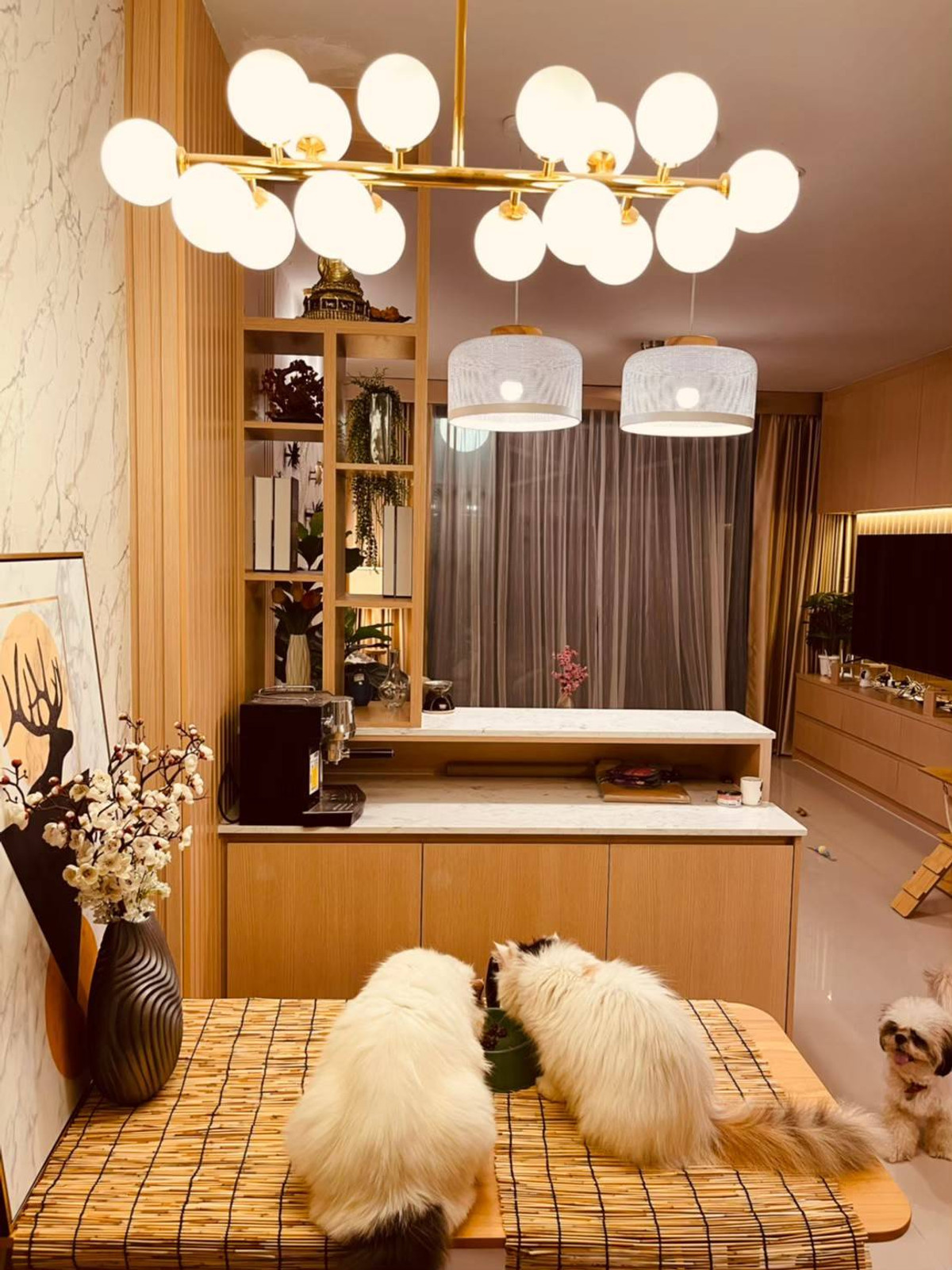 ขายทาวน์โฮมอ่อนนุช อุดมสุข : ขายทาวน์เฮ้าส์/ทาวน์โฮม  มาย เพลส อ่อนนุช 17 สวนหลวง เขต สวนหลวง กรุงเทพ CX-139072