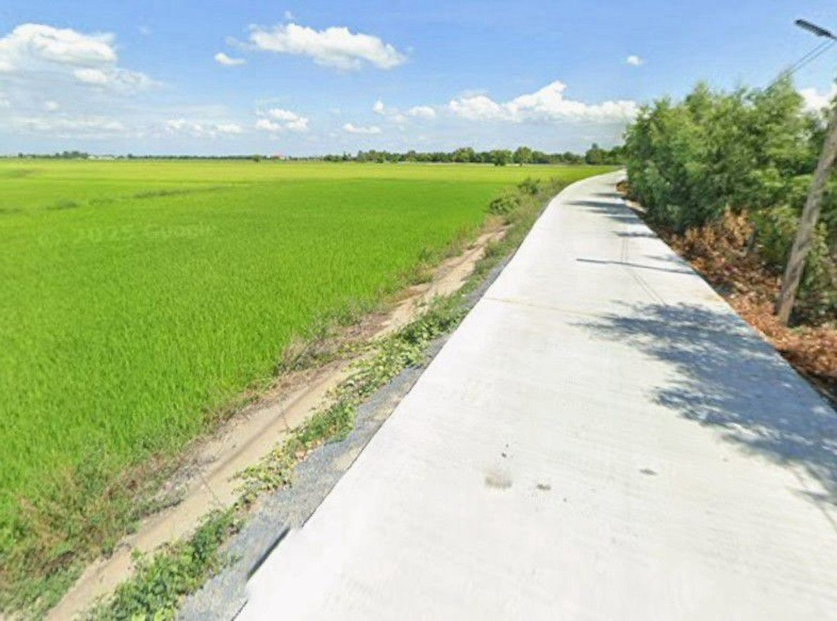 ขายที่ดินอยุธยา : ที่นา 2-3-64 ไร่ แปลงสวย ติดถนนปูน ใกล้ อบต.ลาดงา เสนา ตำบลลาดงา อำเภอเสนา จังหวัดพระนครศรีอยุธยา