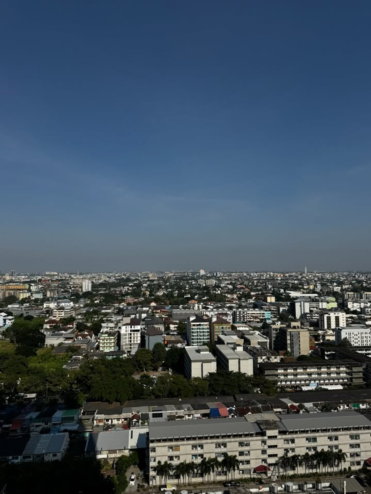 ให้เช่าคอนโดอ่อนนุช อุดมสุข : ให้เช่า The Line Sukhumvit 101 ราคา 16,500 บาท [MKr251207]