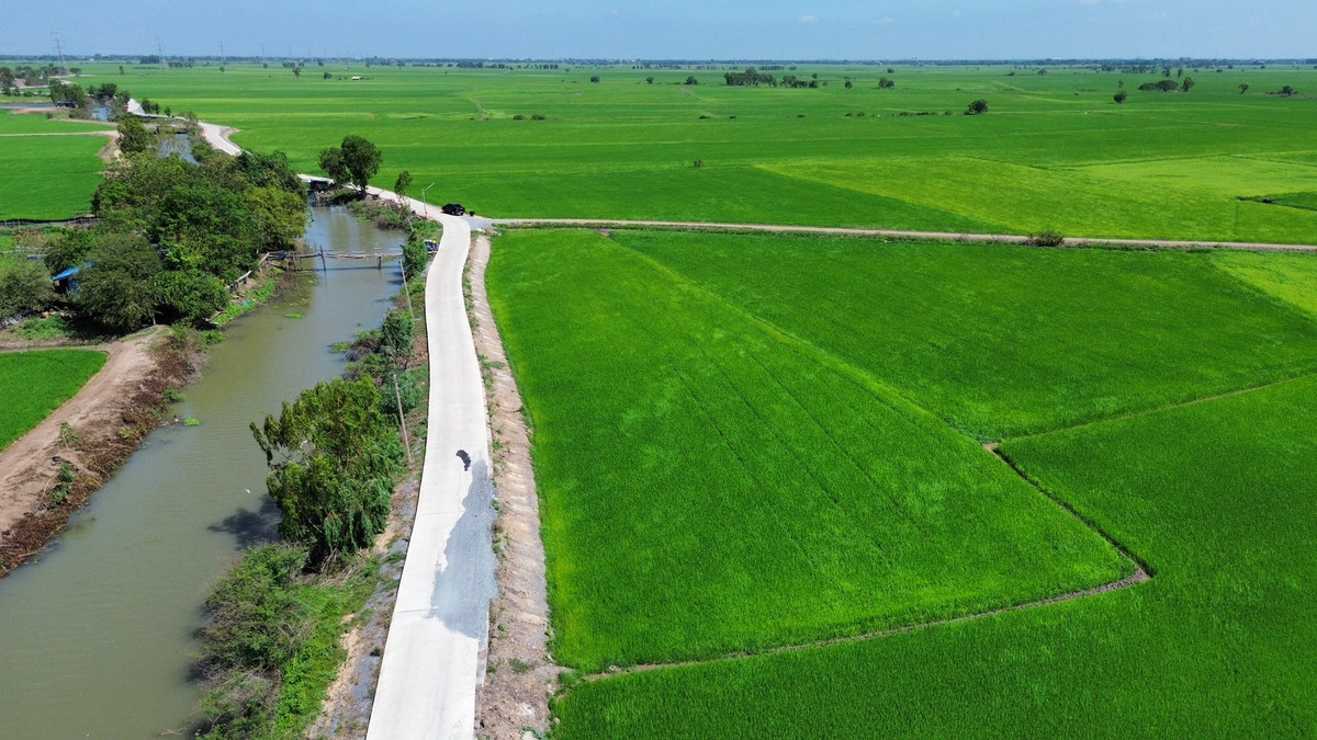 ขายที่ดินอยุธยา : ที่นา 2-3-64 ไร่ แปลงสวย ติดถนนปูน ใกล้ อบต.ลาดงา เสนา ตำบลลาดงา อำเภอเสนา จังหวัดพระนครศรีอยุธยา