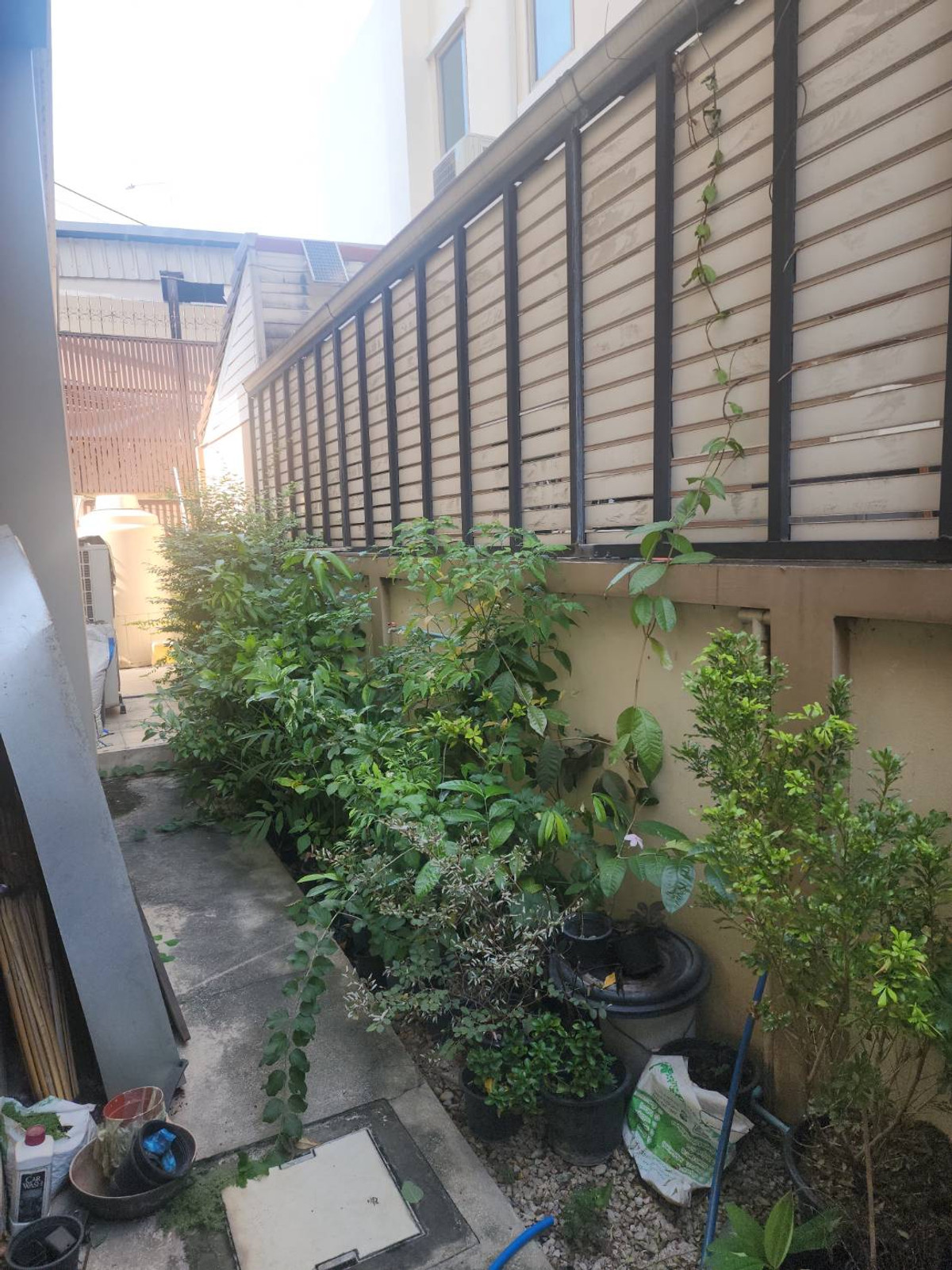 For SaleHouseRama5, Ratchapruek, Bangkruai : Baan Nontree Regent Ratchapruek