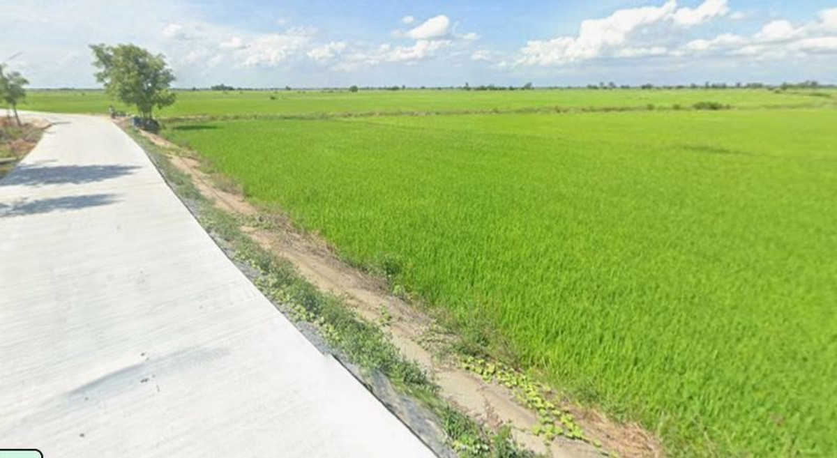 ขายที่ดินอยุธยา : ที่นา 2-3-64 ไร่ แปลงสวย ติดถนนปูน ใกล้ อบต.ลาดงา เสนา ตำบลลาดงา อำเภอเสนา จังหวัดพระนครศรีอยุธยา