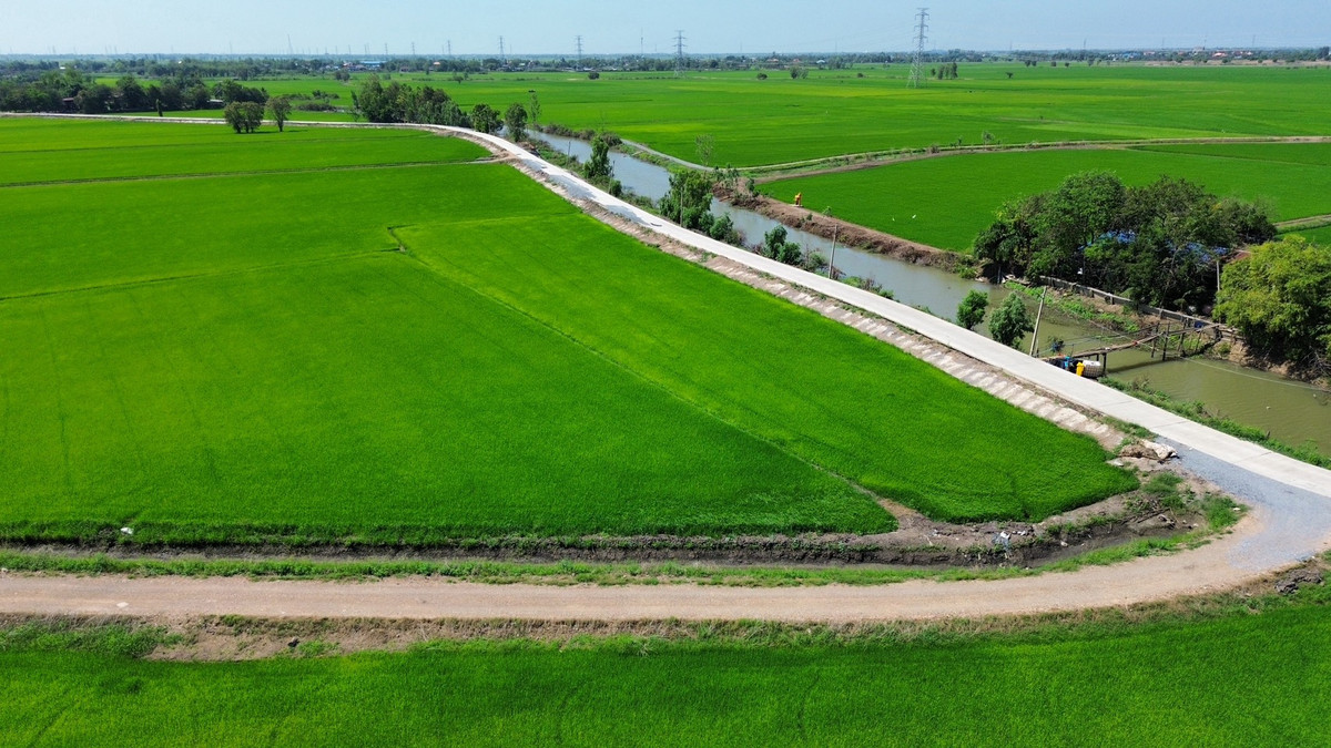 ขายที่ดินอยุธยา : ที่นา 2-3-64 ไร่ แปลงสวย ติดถนนปูน ใกล้ อบต.ลาดงา เสนา ตำบลลาดงา อำเภอเสนา จังหวัดพระนครศรีอยุธยา