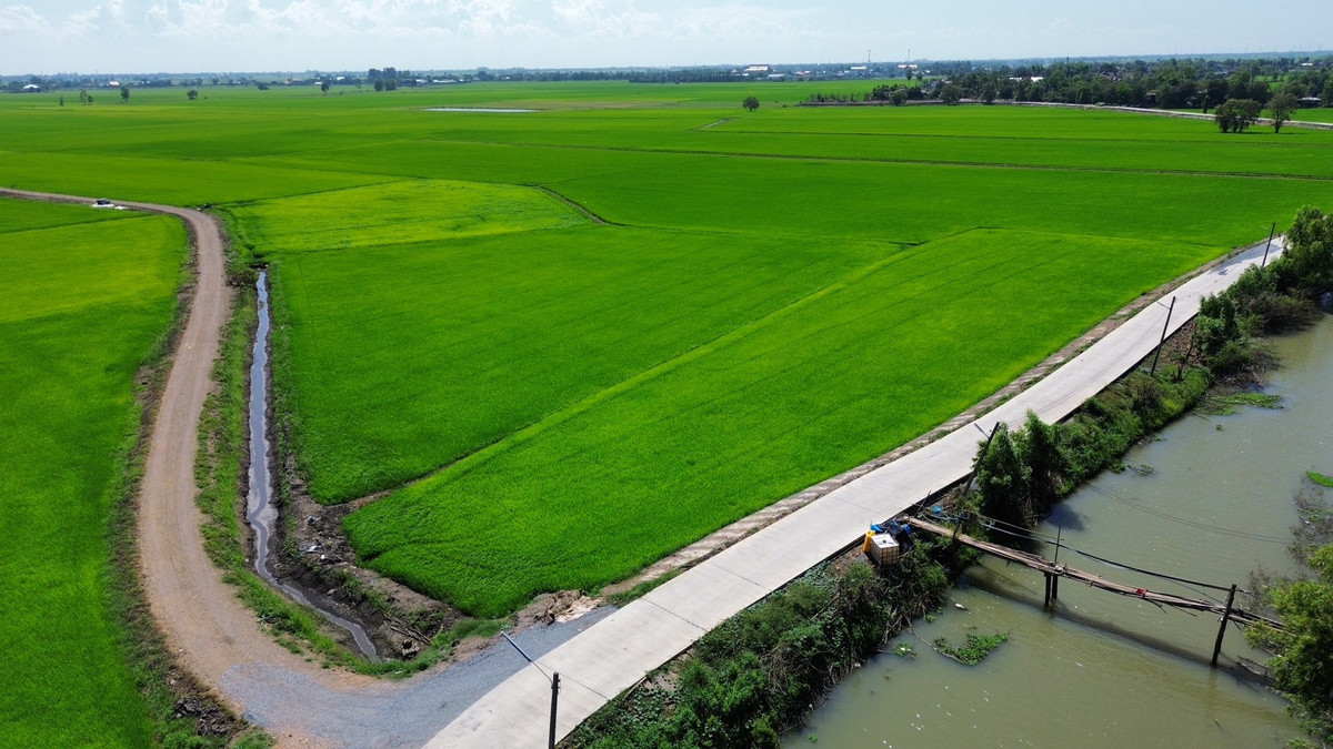 ขายที่ดินอยุธยา : ที่นา 2-3-64 ไร่ แปลงสวย ติดถนนปูน ใกล้ อบต.ลาดงา เสนา ตำบลลาดงา อำเภอเสนา จังหวัดพระนครศรีอยุธยา