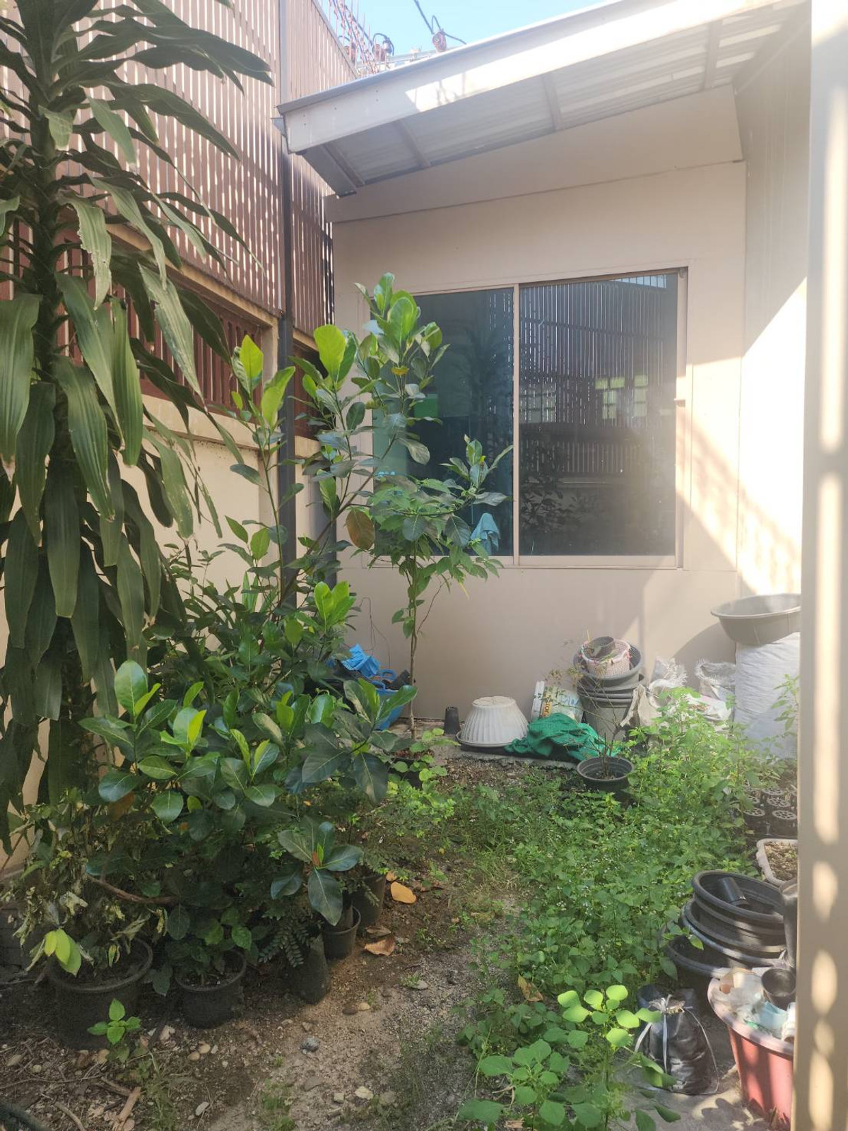 For SaleHouseRama5, Ratchapruek, Bangkruai : Baan Nontree Regent Ratchapruek